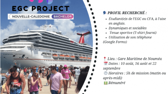 Mission EGC PROJECT : Sondage des Croisiéristes